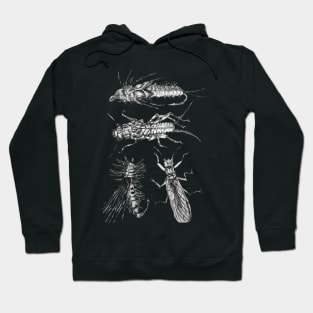 Plecoptera Fly Fishing Hoodie